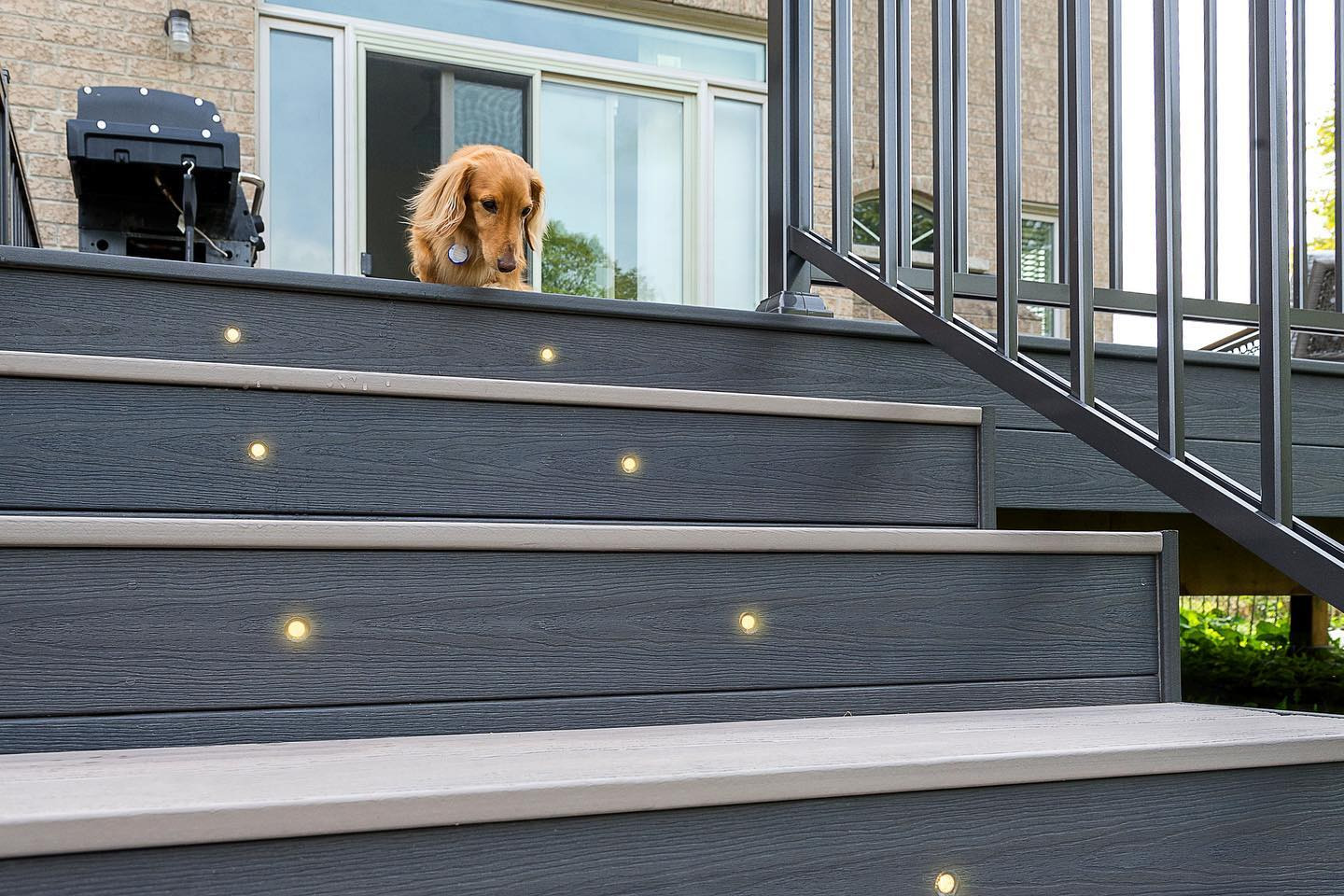 Custom Deck Builder Toronto & GTA | Delta Decks
